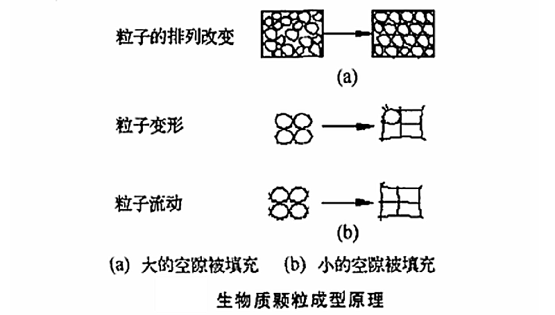 生物質顆粒